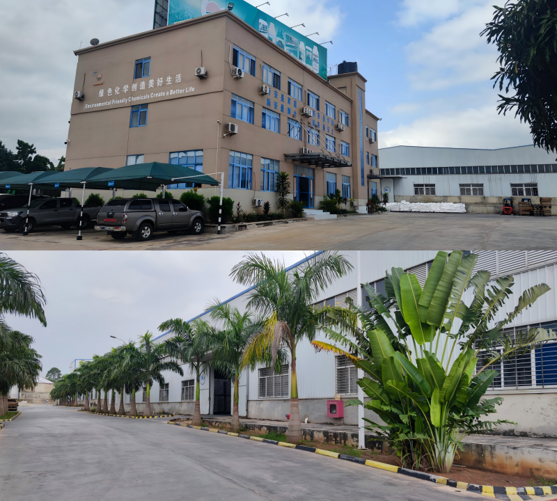 17581613059101453oTN.png 2.png